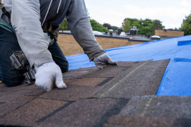 Best Roof Maintenance Services  in Kinsley, KS